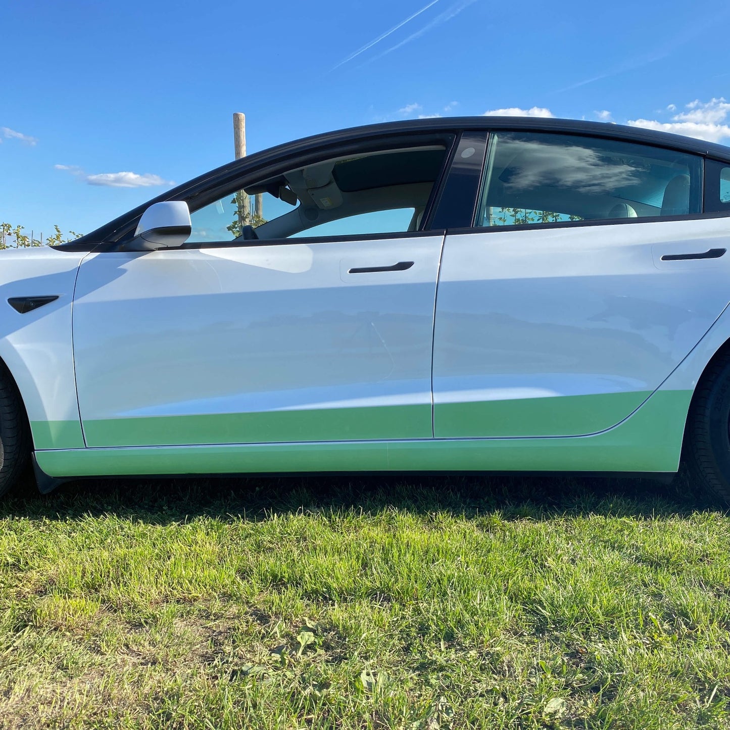 Tesla Zubehoer, Tesla Folierung, Model 3 Folierung, tesla model 3 folierung, model 3 zubehör, tesla model 3 steinschlagschutz