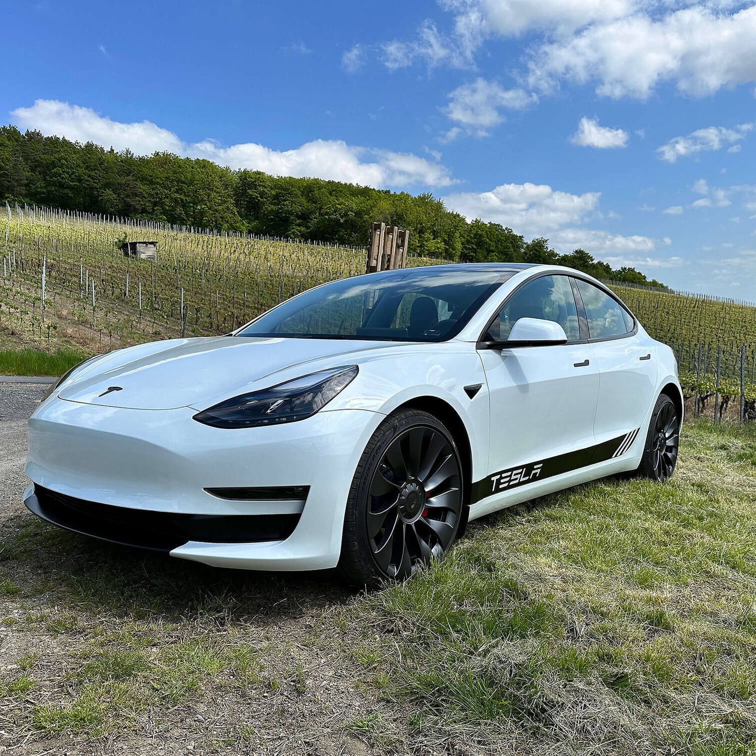 Luxshield Einstiegsleisten Schutz Tesla Model 3 2017 - 2023 Set in Bayern -  Wolnzach, Tuning & Styling Anzeigen